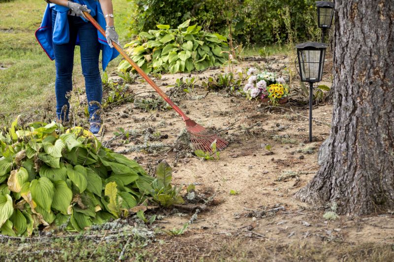 Contact About Lot Clearing